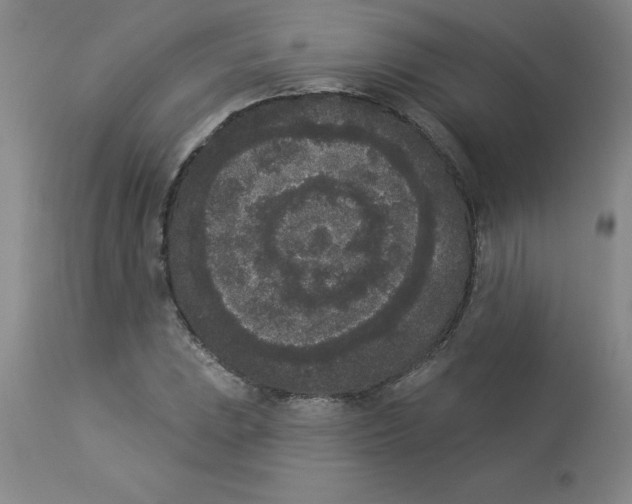 X0000112861023200909181755