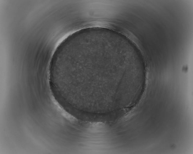 X0000112861024200909181755