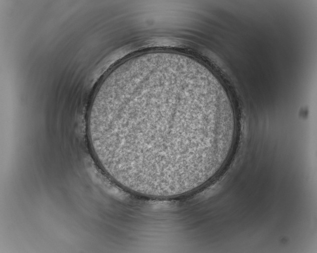 X0000112861025200909181756