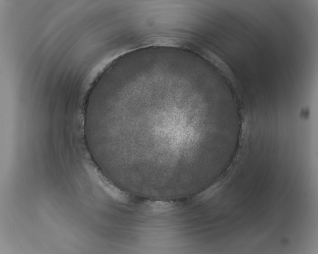 X0000112861027200909181756