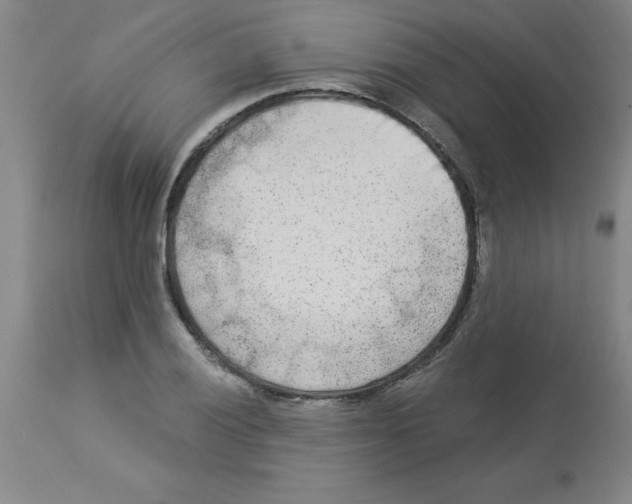 X0000112861028200909181756