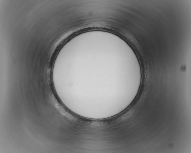 X0000112861029200909181756