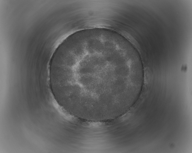 X0000112861031200909181756