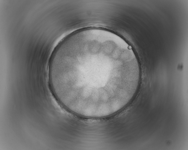 X0000112861032200909181756