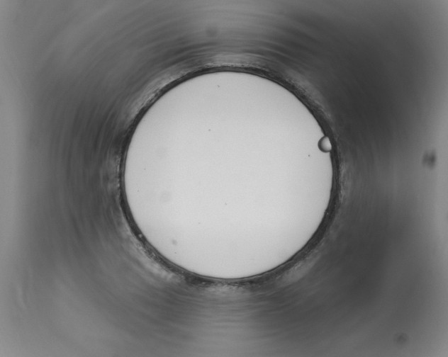 X0000112861033200909181756