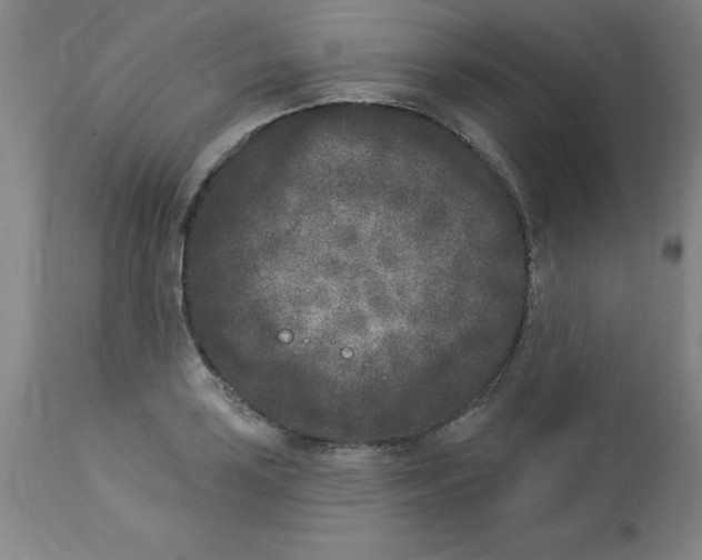 X0000112861035200909181756