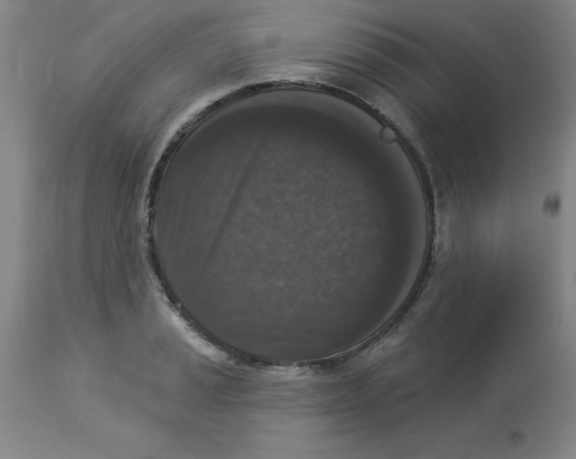 X0000112861037200909181756