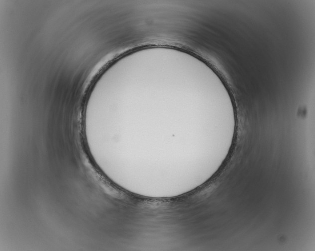 X0000112861040200909181756