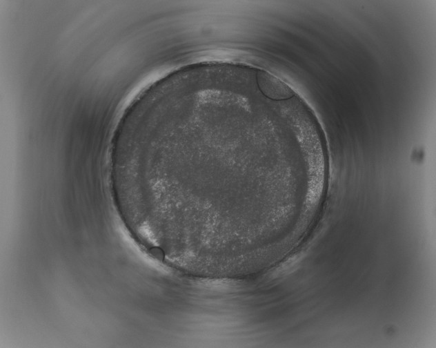 X0000112861045200909181756