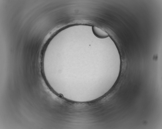 X0000112861046200909181756