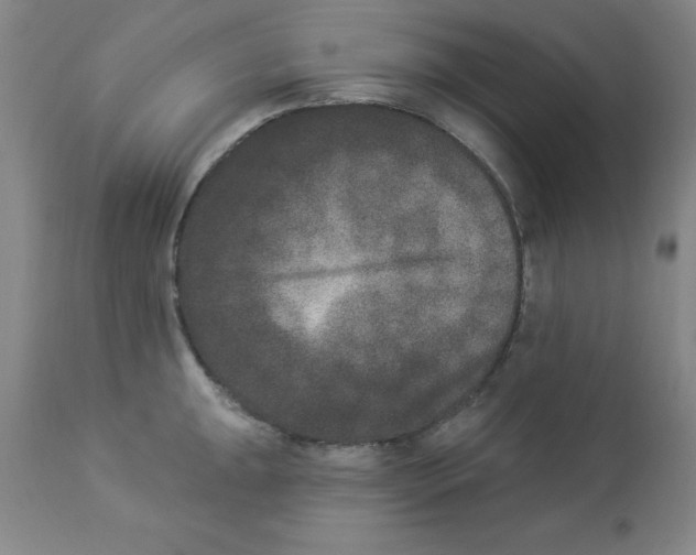 X0000112861047200909181756