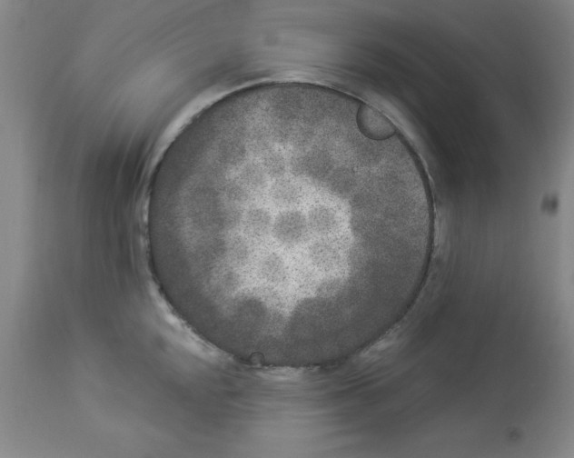 X0000112861048200909181756