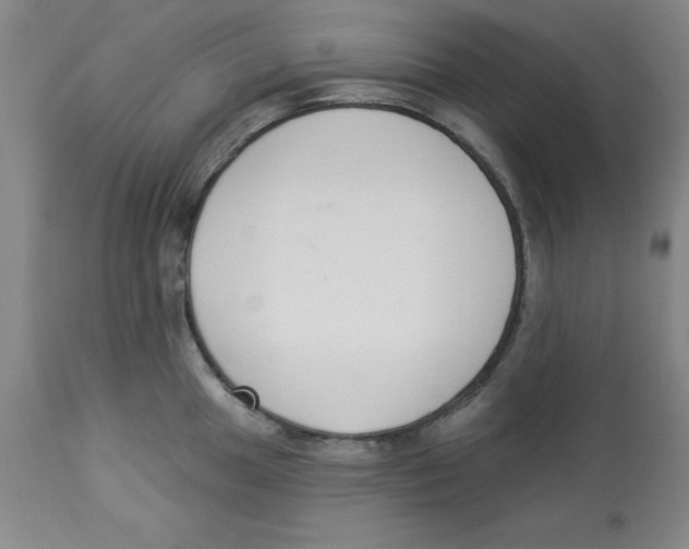 X0000112861049200909181756