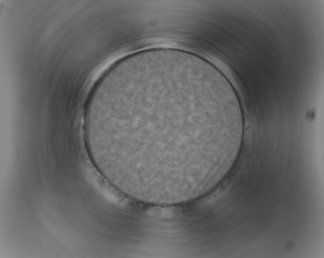 X0000112861051200909181756