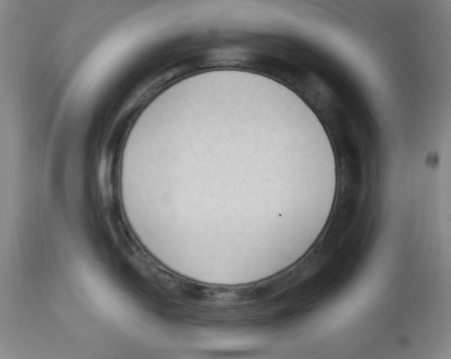 X0000112861054200909181756