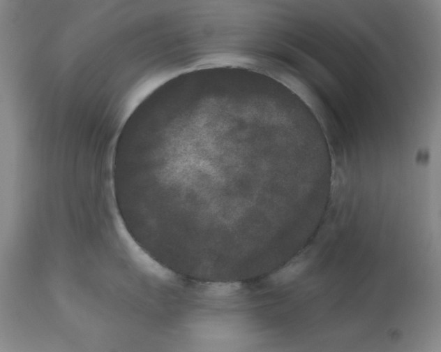 X0000112861055200909181756