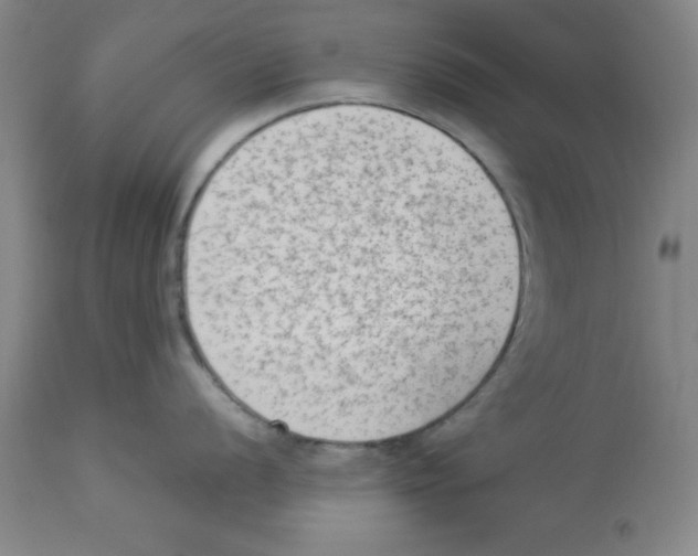 X0000112861056200909181756