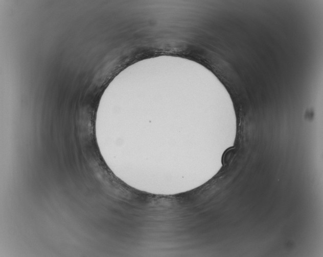 X0000112861058200909181755