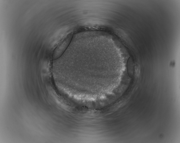 X0000112861060200909181755