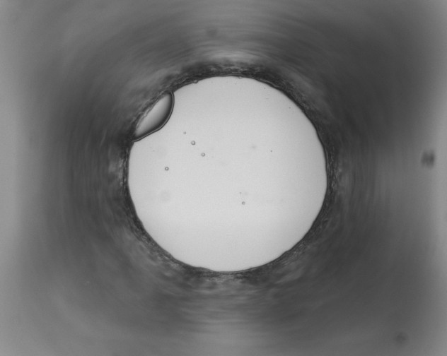 X0000112861061200909181755