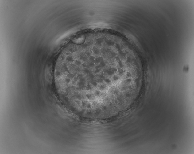 X0000112861063200909181755