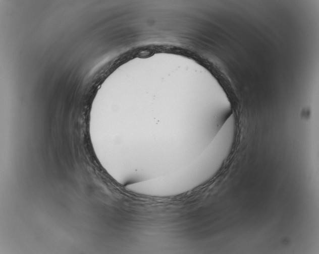 X0000112861064200909181755