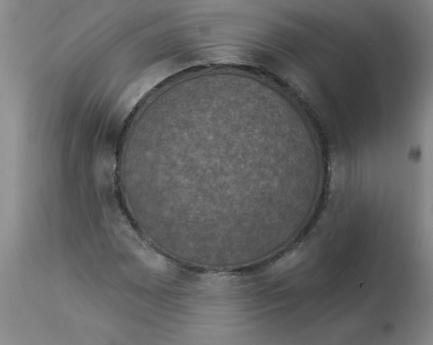 X0000112861065200909181755