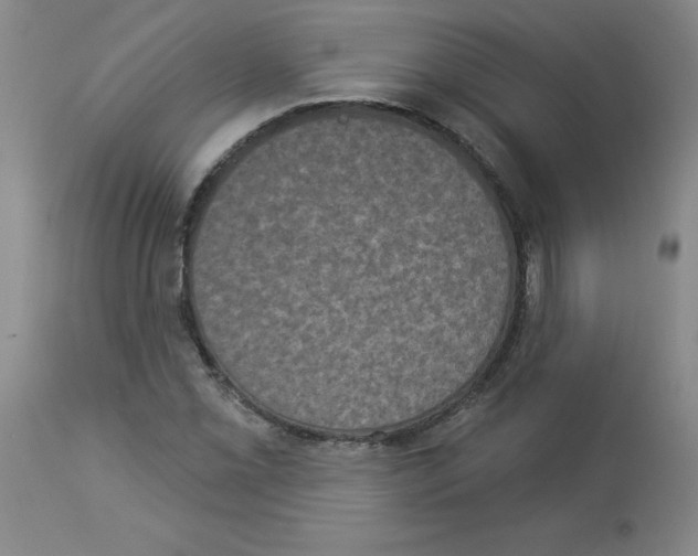 X0000112861069200909181755