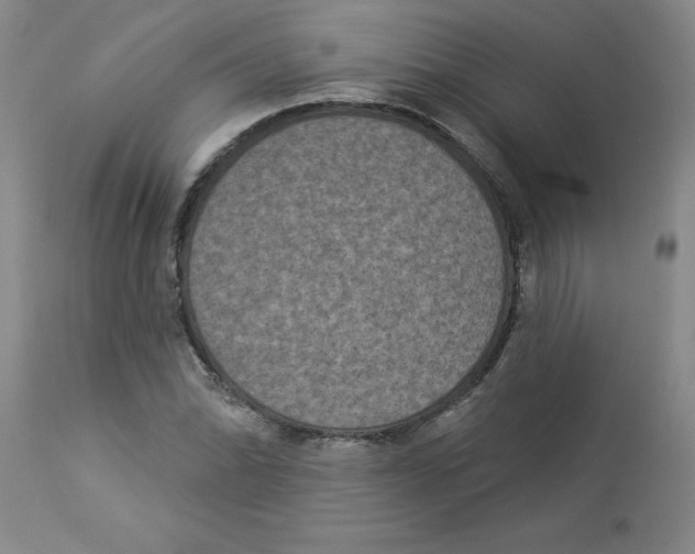 X0000112861070200909181755