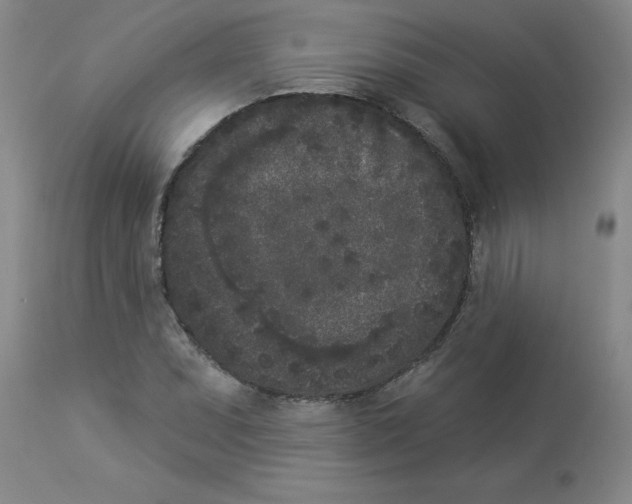 X0000112861071200909181755