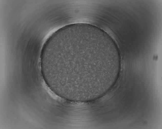 X0000112861072200909181755