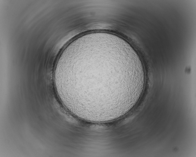 X0000112861073200909181755