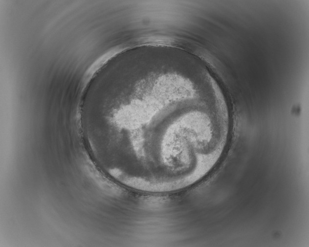 X0000112861074200909181755