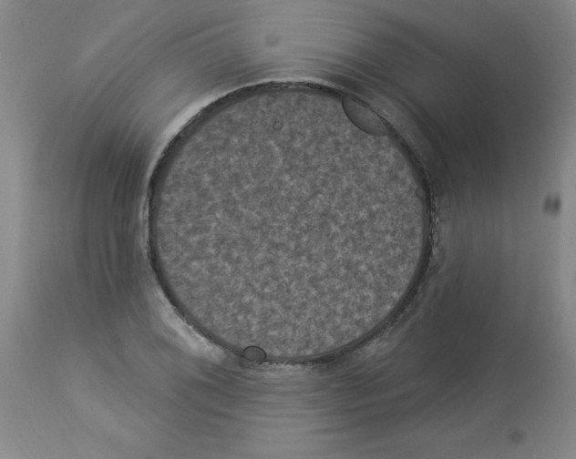 X0000112861076200909181755