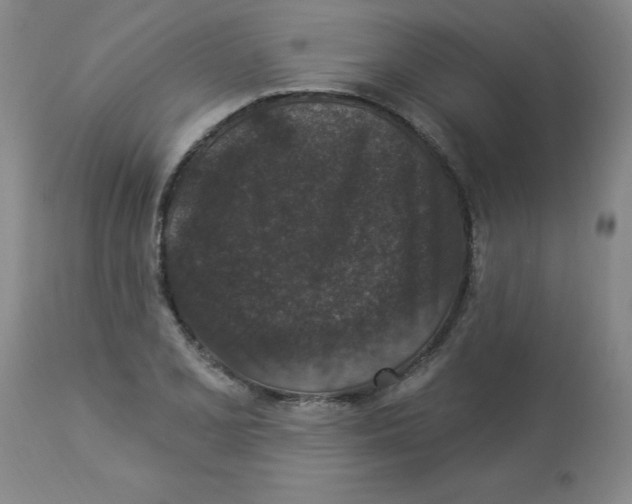 X0000112861077200909181755