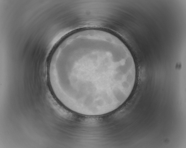 X0000112861078200909181755