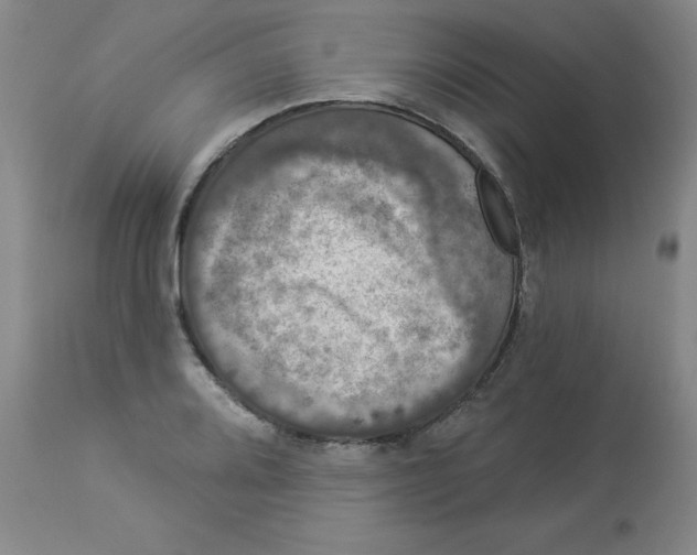 X0000112861080200909181755