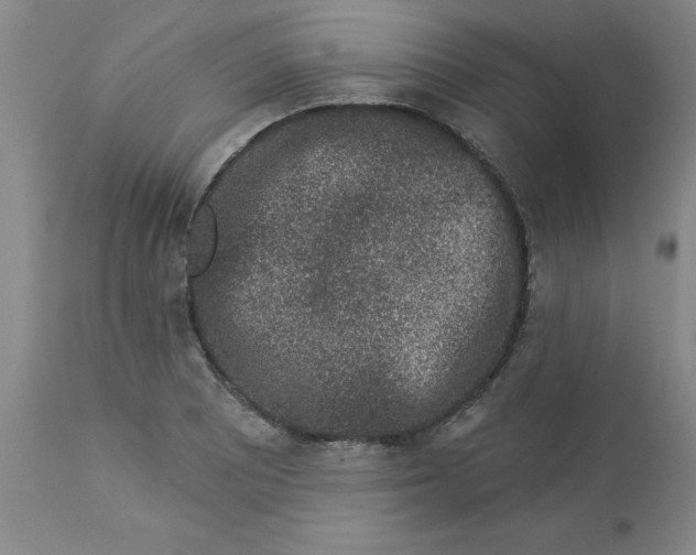 X0000112861081200909181755