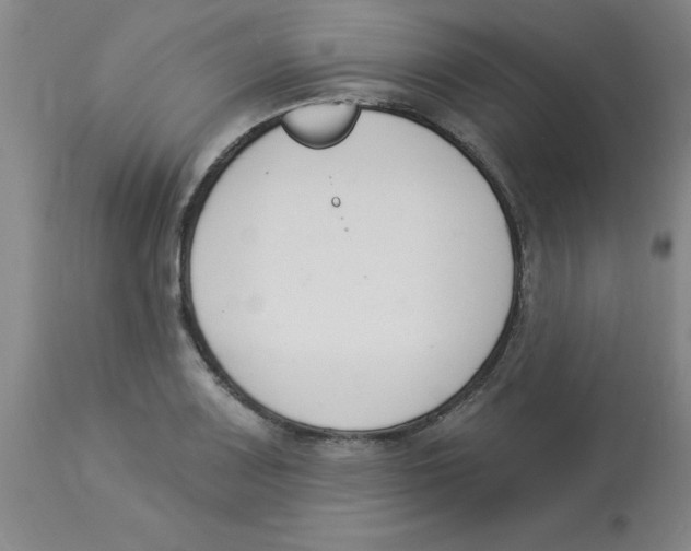 X0000112861083200909181755