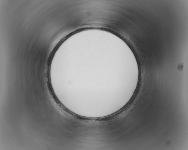 X0000112861085200909181754