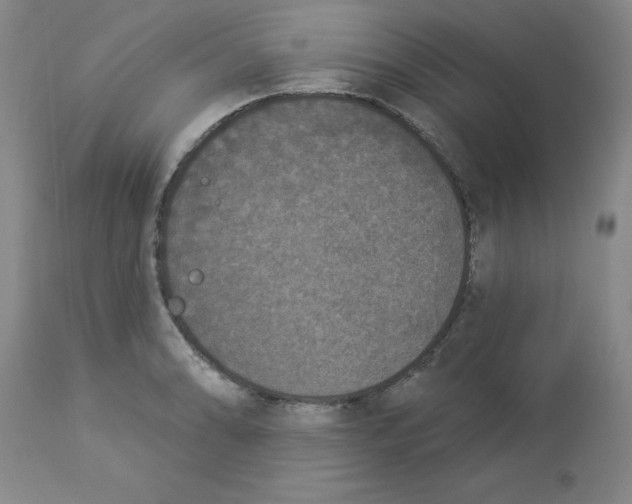 X0000112861086200909181754