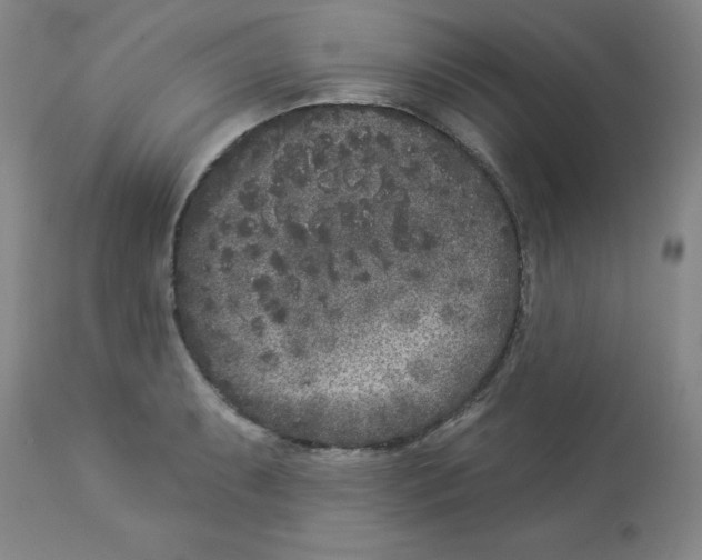 X0000112861087200909181754