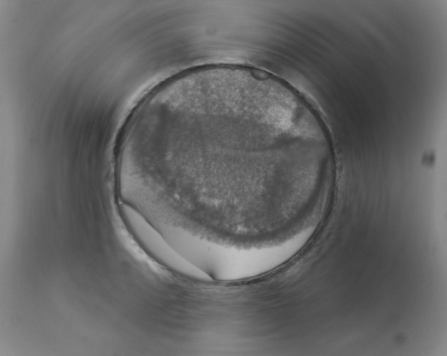 X0000112861088200909181754