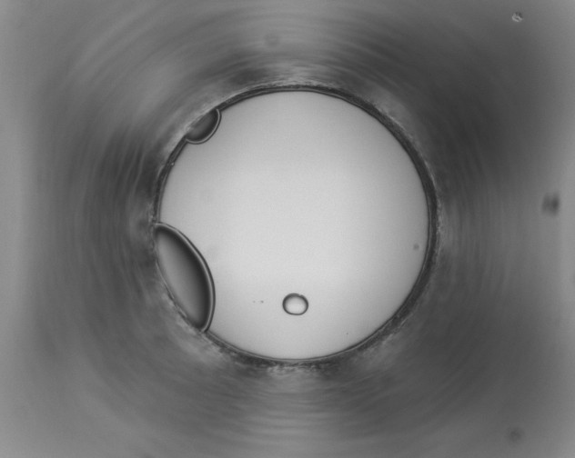 X0000112861089200909181754