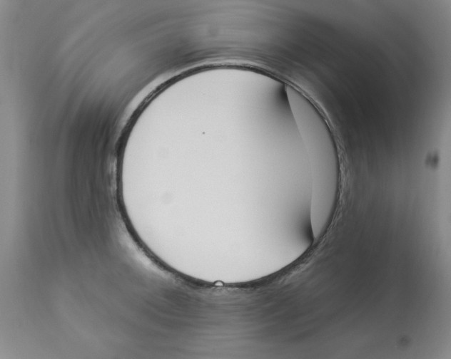 X0000112861092200909181754