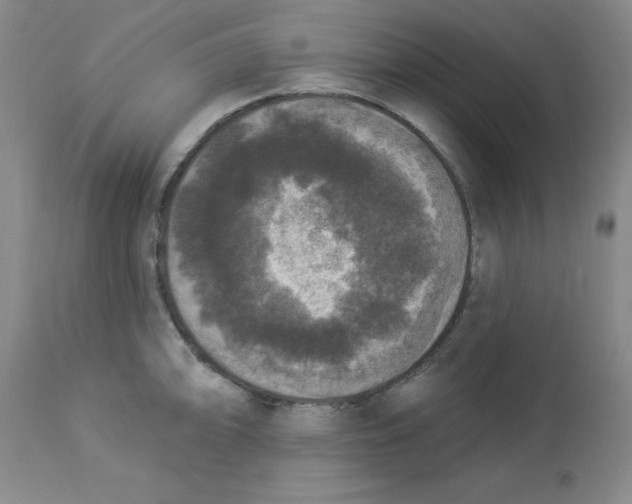 X0000112861094200909181754