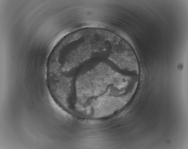 X0000112861095200909181754