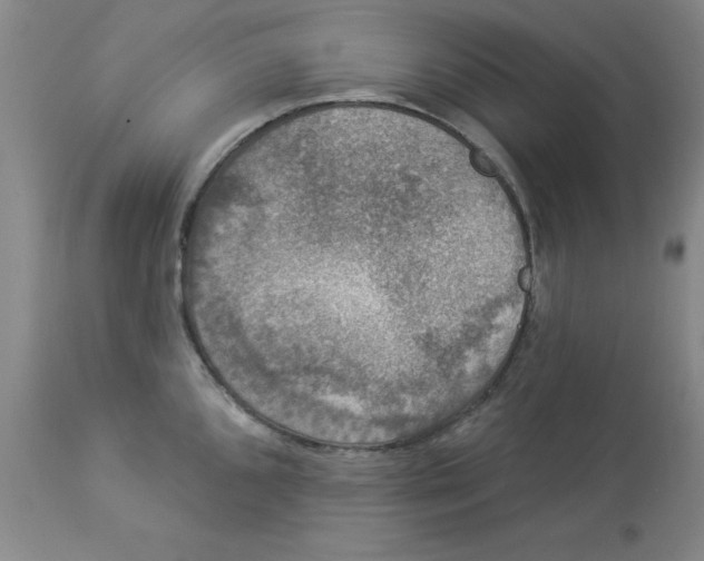 X0000112861096200909181754