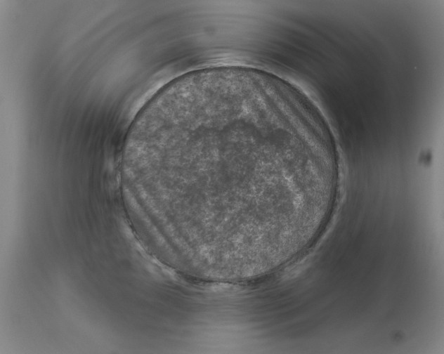 X0000112861097200909181754