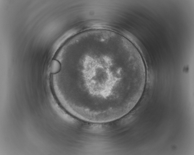 X0000112861098200909181754